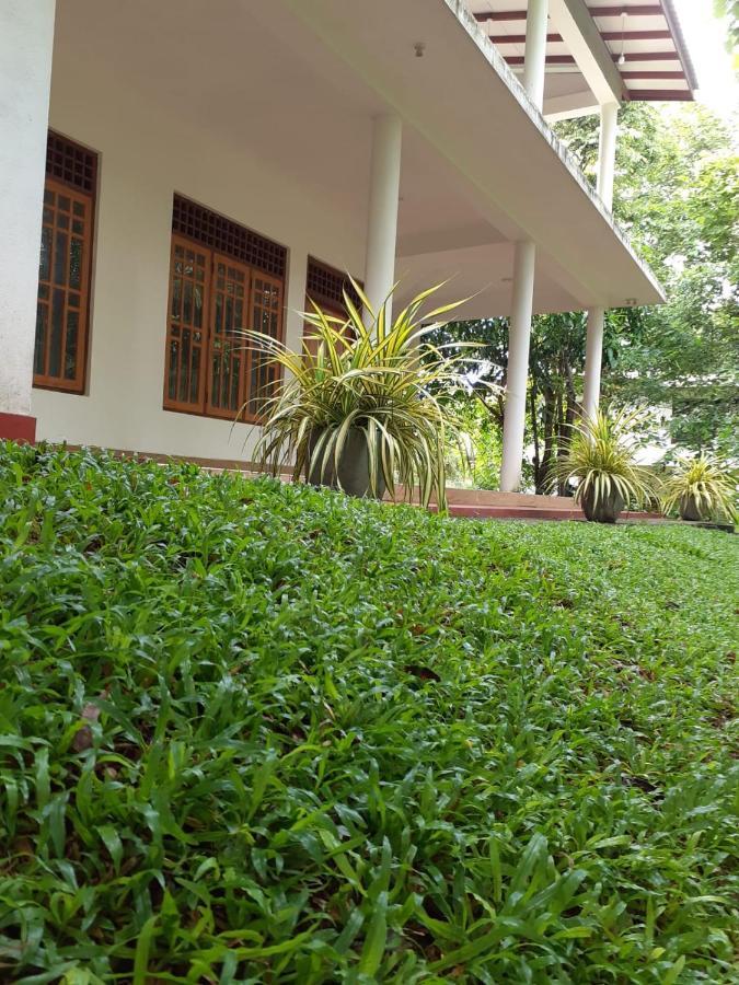 Yonara Green Rest Habarana Exteriér fotografie