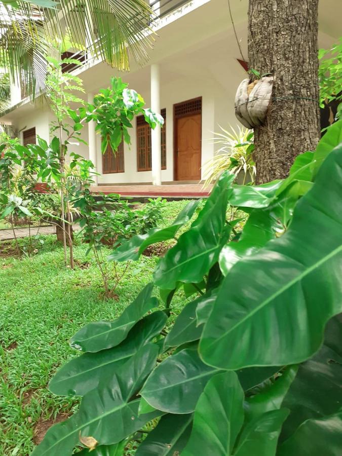 Yonara Green Rest Habarana Exteriér fotografie